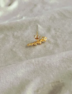 Monorecchino a Lobo Riviera COLORE ARGENTO Dorato